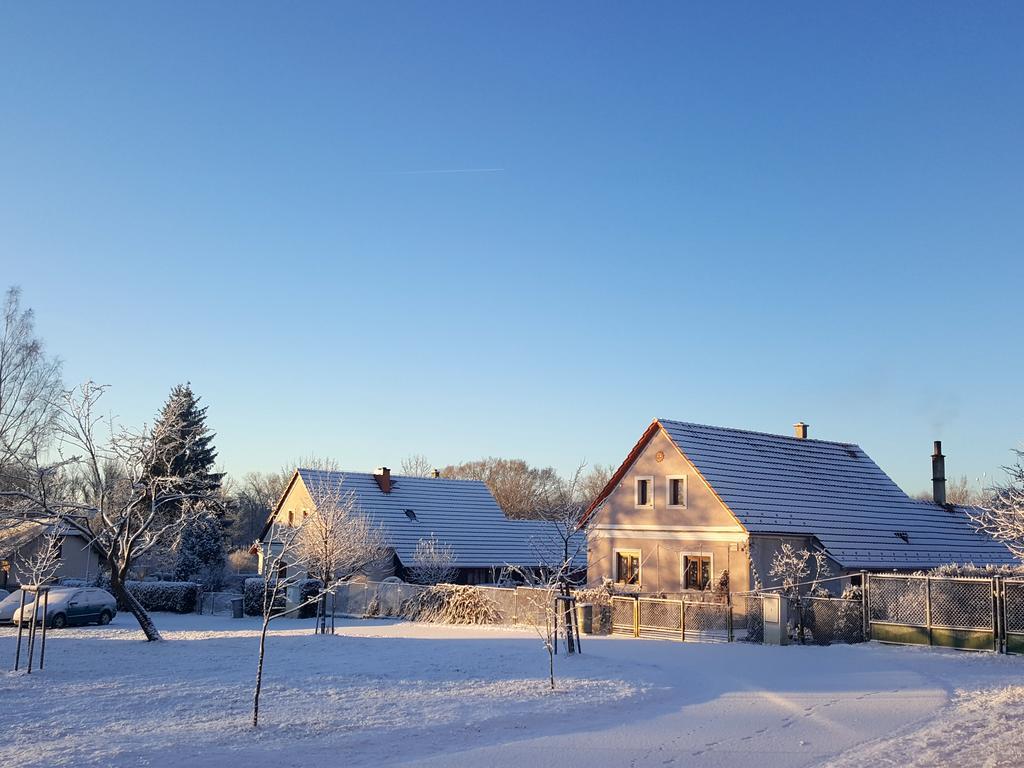 Horní Planá Penzion-Na Navsi المظهر الخارجي الصورة